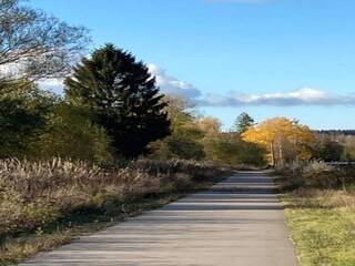 Vakantiehuis Bertogne Omgeving 29