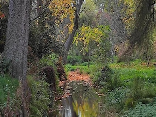 Villa Bertogne Ambiente 29