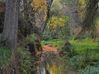 Villa Bertogne Environment 30