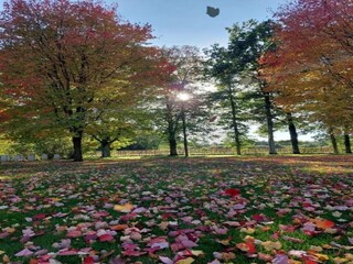 Villa Bertogne Environment 36