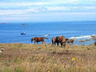 Holiday house Lampaul-Plouarzel Environment 27