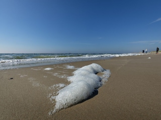Ferienpark Sint Maartenszee Umgebung 19