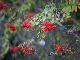 Appartement Freital Omgeving 29