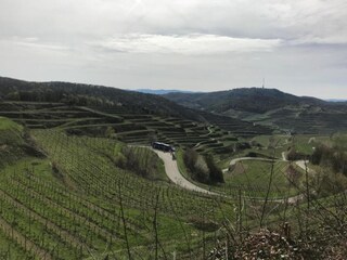 Appartamento Herbolzheim Ambiente 29