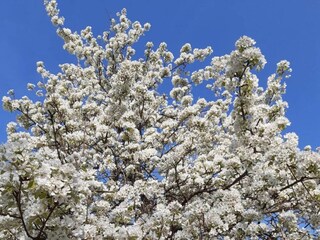 Appartamento Herbolzheim Ambiente 32