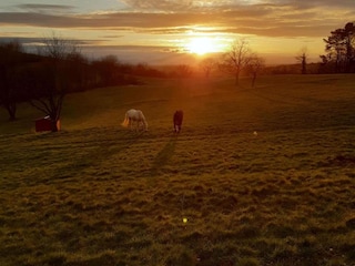 Appartement Herbolzheim Omgeving 34