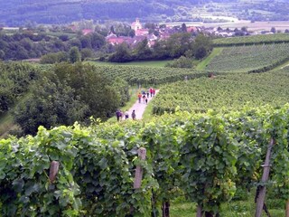 Apartamento Herbolzheim Entorno 37