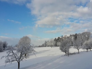 Appartamento Herbolzheim Ambiente 35