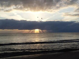 Apartment Trassenheide Environment 35