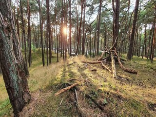 Apartment Trassenheide Environment 34