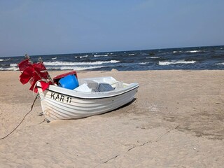 Appartement Trassenheide Environnement 32