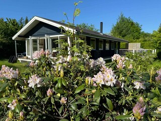 Ferienhaus Udsholt Strand Außenaufnahme 2