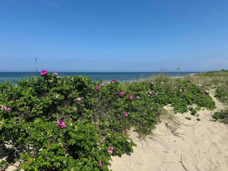 Vakantiehuis Udsholt Strand Buitenaudio-opname 12