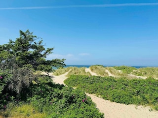 Ferienhaus Udsholt Strand Außenaufnahme 13