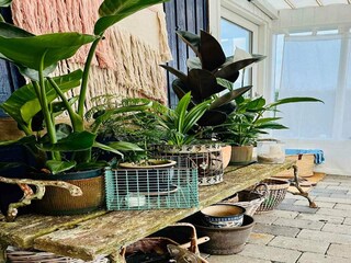 Ferienhaus Karrebæksminde  9