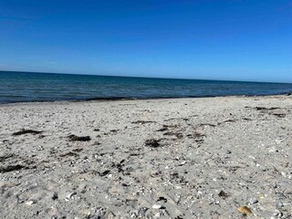 Ferienhaus Nykøbing Sjælland Außenaufnahme 5