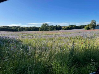 Ferienhaus Nykøbing Sjælland Außenaufnahme 4
