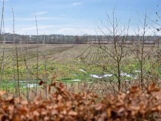 Ferienhaus Skarrild Außenaufnahme 8