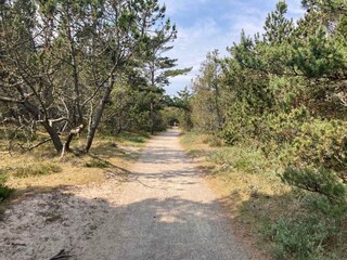 Vakantiehuis Skagen Buitenaudio-opname 6