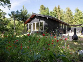 Vakantiehuis Als Buitenaudio-opname 10