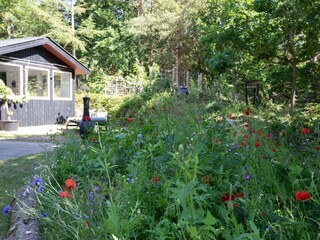 Vakantiehuis Als Buitenaudio-opname 17