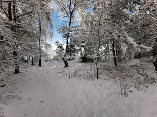 Ferienhaus Als Außenaufnahme 1