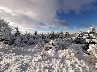 Holiday house Als Outdoor Recording 25