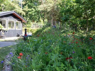 Vakantiehuis Als Buitenaudio-opname 9