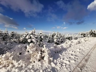 Vakantiehuis Als Buitenaudio-opname 17