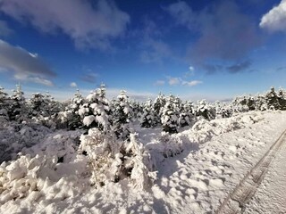 Vakantiehuis Als Buitenaudio-opname 5