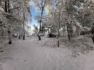 Vakantiehuis Als Buitenaudio-opname 23