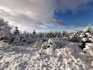 Vakantiehuis Als Buitenaudio-opname 25