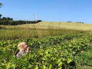 Vakantiehuis Vestervig Buitenaudio-opname 10