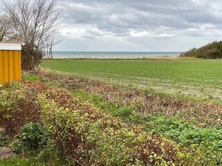 Holiday house Nordborg Outdoor Recording 10