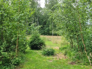 Holiday house Frederiksværk  7