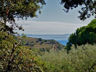 Bungalow Porto Azzurro Registrazione all'aperto 6