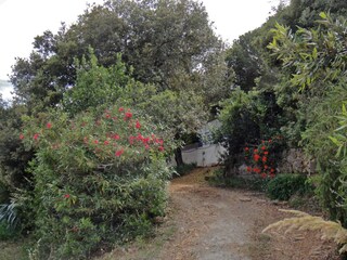 Bungalow Porto Azzurro Registrazione all'aperto 3