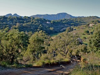 Bungalow Porto Azzurro Ambiente 17