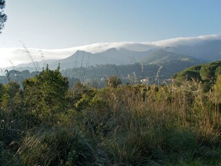 Bungalow Porto Azzurro Ambiente 14