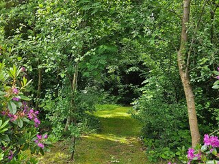 Ferienhaus Veddinge Außenaufnahme 7