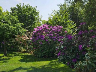Ferienhaus Veddinge Außenaufnahme 8
