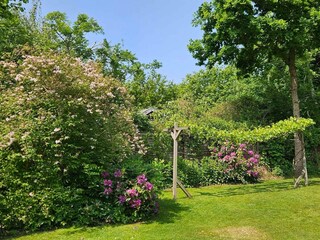 Ferienhaus Veddinge Außenaufnahme 9
