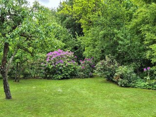 Ferienhaus Veddinge Außenaufnahme 10