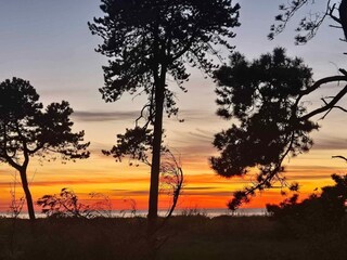 Ferienhaus Veddinge Außenaufnahme 12