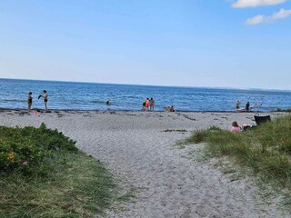 Ferienhaus Veddinge  21