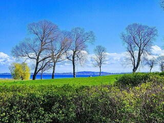 Ferienhaus Grevinge Außenaufnahme 4