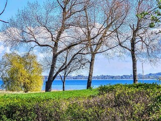 Ferienhaus Grevinge Außenaufnahme 5