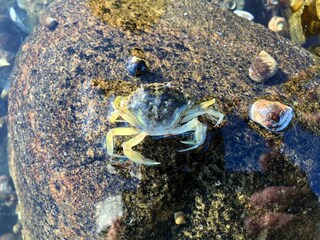 Ferienhaus Grevinge  20