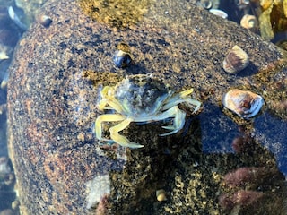 Vakantiehuis Grevinge  20