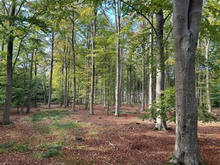 Vakantiehuis Næsby Strand (Lolland)  14
